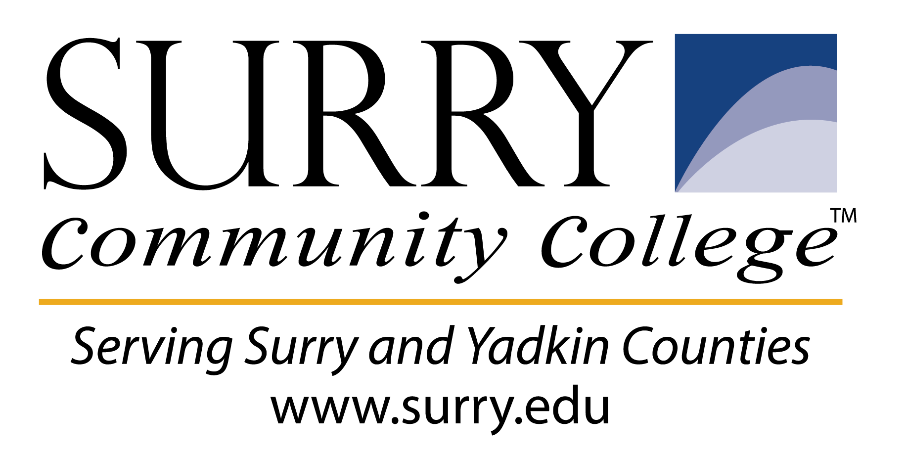 Training Logo
