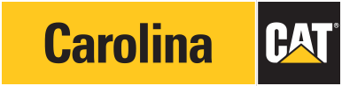 carolina-cat